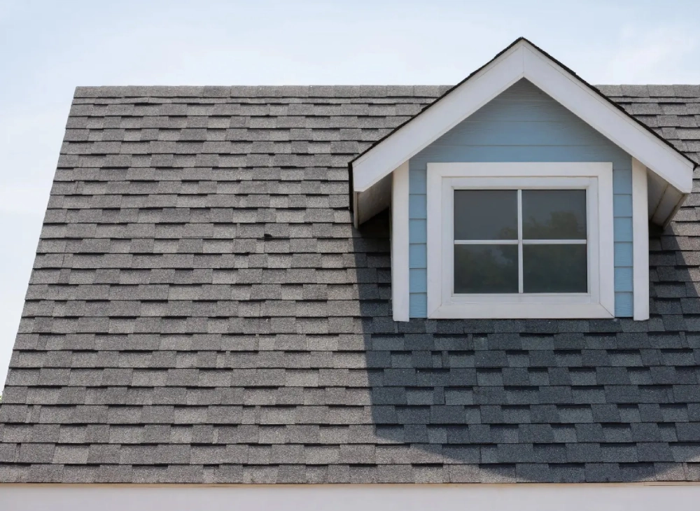 J Lion General Construction LLC